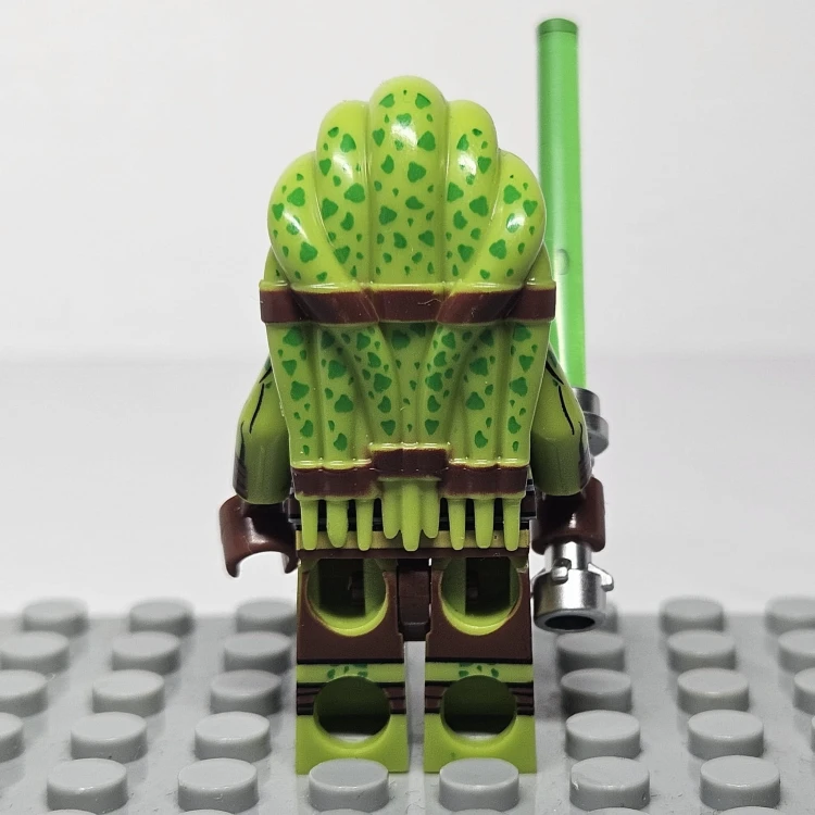 1000062021.jpg