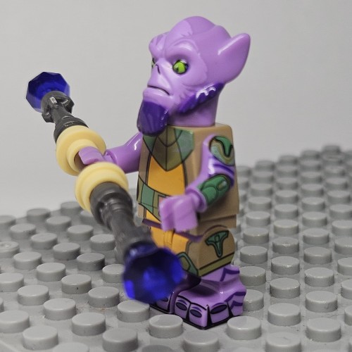 1000066107.jpg